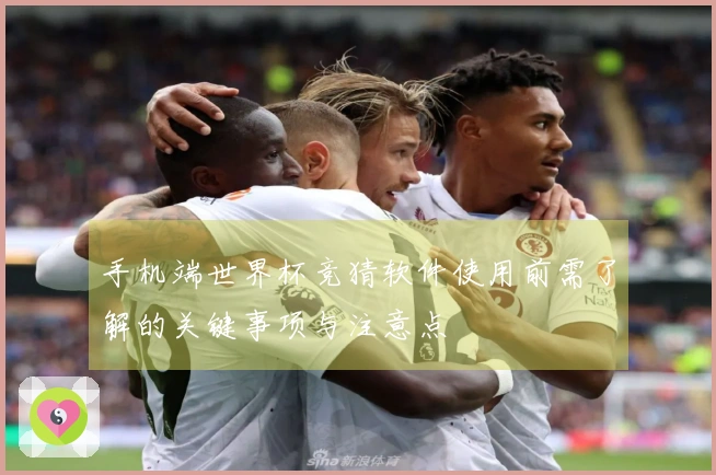 手机端世界杯竞猜软件使用前需了解的关键事项与注意点