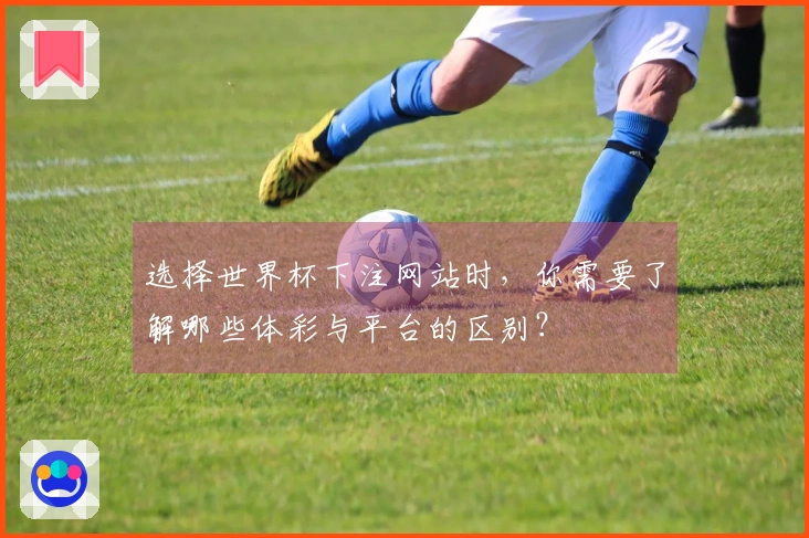 选择世界杯下注网站时，你需要了解哪些体彩与平台的区别？