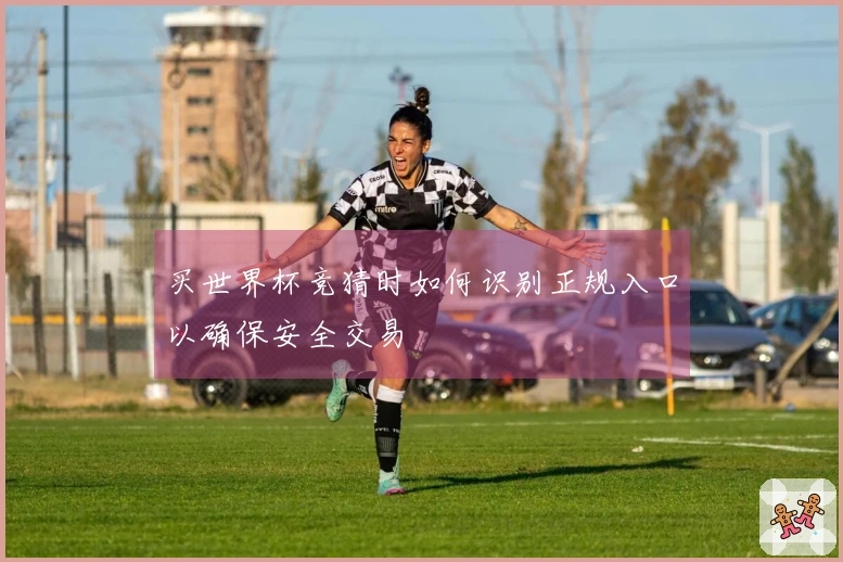买世界杯竞猜时如何识别正规入口以确保安全交易