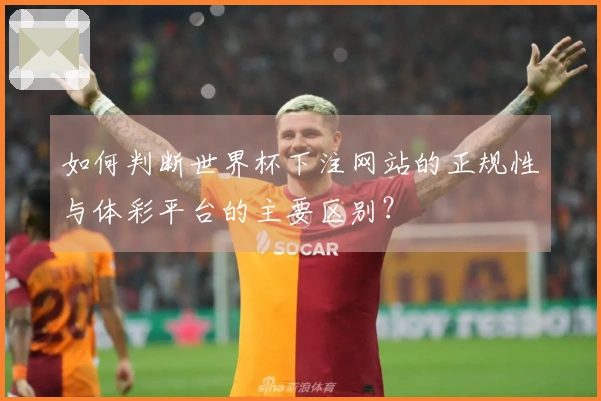 如何判断世界杯下注网站的正规性与体彩平台的主要区别？