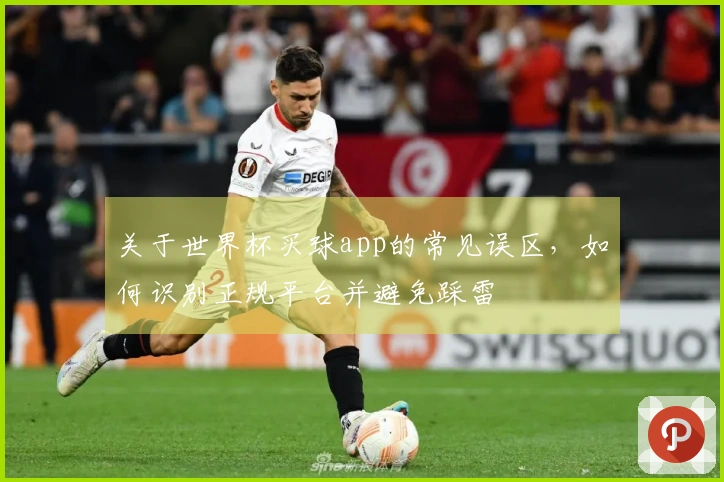 关于世界杯买球app的常见误区，如何识别正规平台并避免踩雷