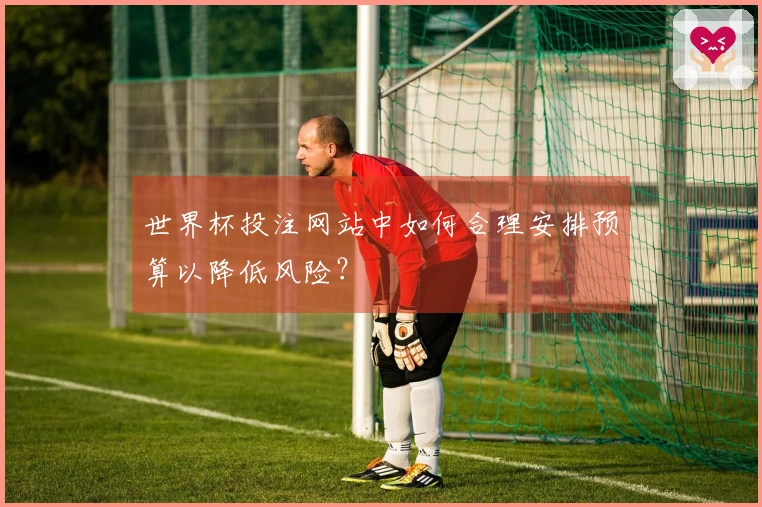 世界杯投注网站中如何合理安排预算以降低风险？