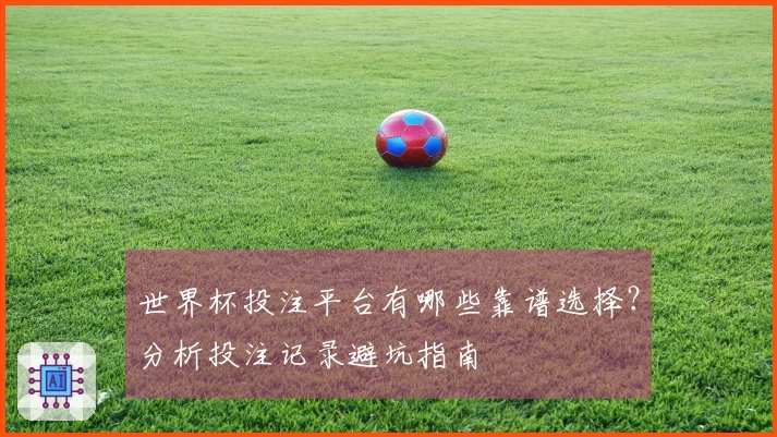 世界杯投注平台有哪些靠谱选择？分析投注记录避坑指南