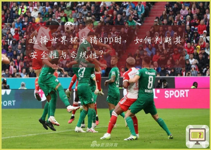 选择世界杯竞猜app时，如何判断其安全性与合规性？