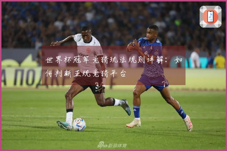 世界杯冠军竞猜玩法规则详解：如何判断正规竞猜平台