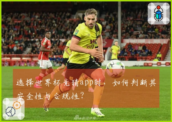 选择世界杯竞猜app时，如何判断其安全性与合规性？