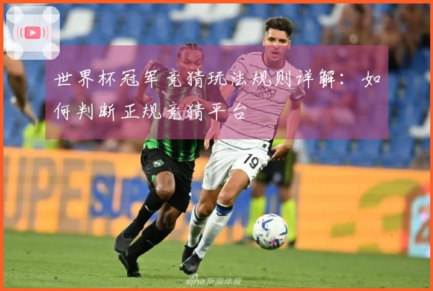 世界杯冠军竞猜玩法规则详解：如何判断正规竞猜平台