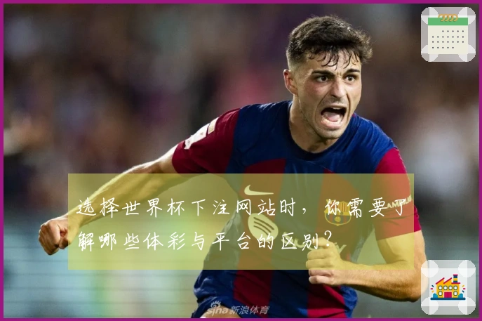 选择世界杯下注网站时，你需要了解哪些体彩与平台的区别？