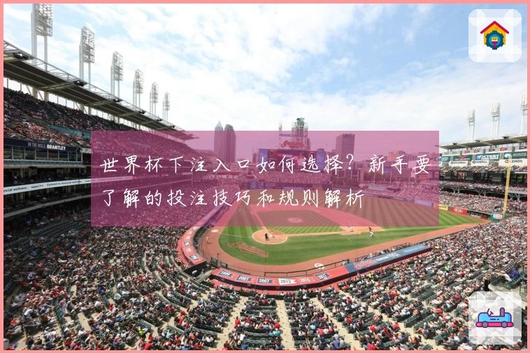 世界杯下注入口如何选择？新手要了解的投注技巧和规则解析
