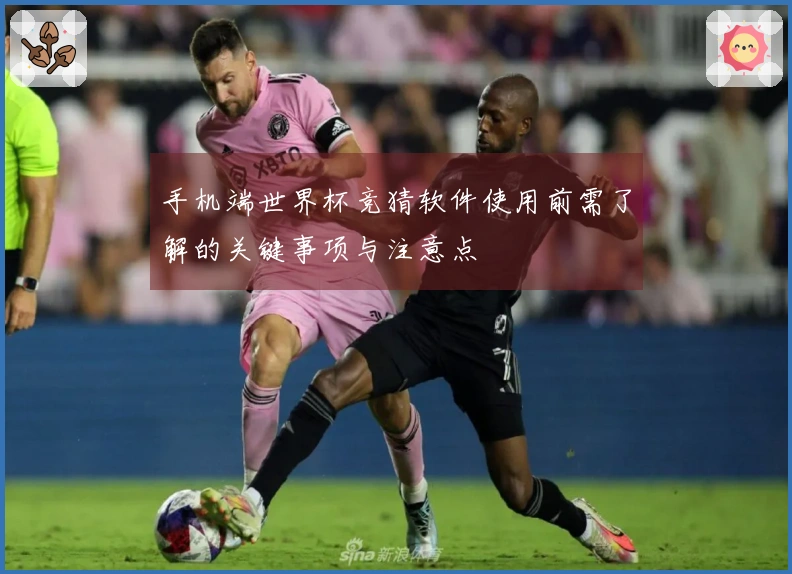 手机端世界杯竞猜软件使用前需了解的关键事项与注意点