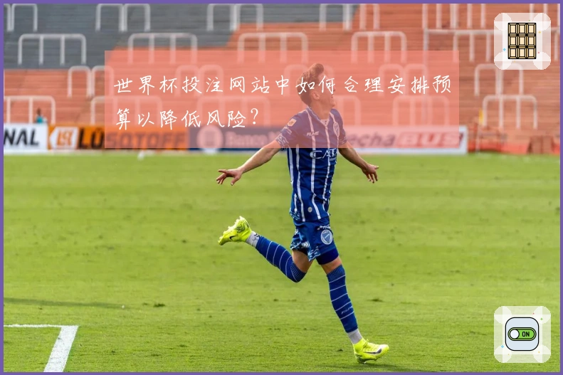世界杯投注网站中如何合理安排预算以降低风险？